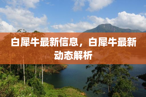 白犀(xi)牛最新(xin)信息(xi)，白犀(xi)牛最新動(dong)態解析(xi)