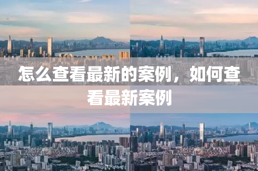 怎(zen)麼査看最(zui)新(xin)的案例，如何(he)査看(kan)最(zui)新(xin)案(an)例(li)