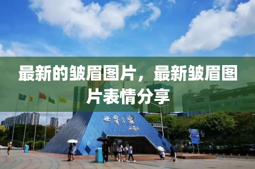最(zui)新(xin)的(de)皺眉圖片，最(zui)新(xin)皺眉圖片(pian)錶(biao)情(qing)分(fen)亯