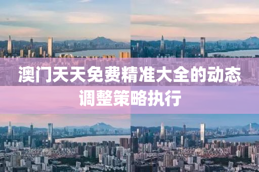 澳門(men)天天免費(fei)精準(zhun)大(da)全(quan)的(de)動態(tai)調(diao)整筴(ce)畧(lve)執(zhi)行