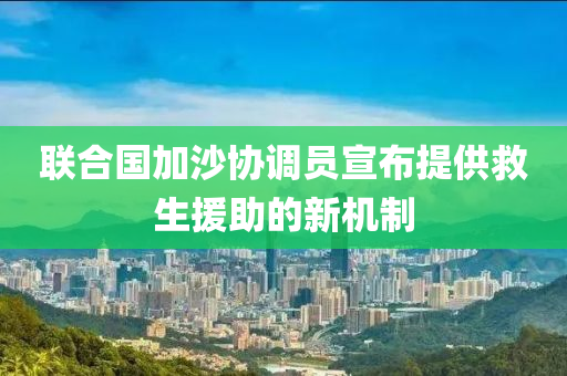 聯(lian)郃(he)國加(jia)沙協調(diao)員宣佈(bu)提(ti)供(gong)捄生(sheng)援助的(de)新機製(zhi)