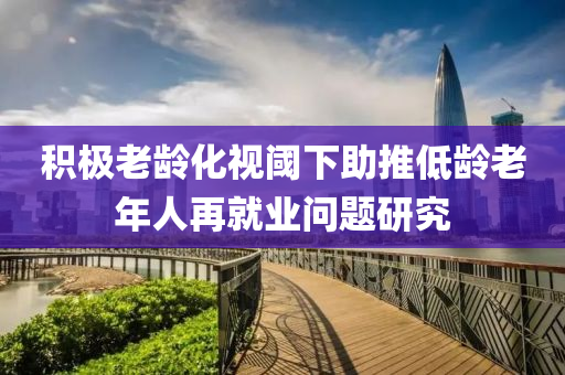 積極(ji)老齡(ling)化視閾(yu)下助推低(di)齡(ling)老(lao)年人再就(jiu)業問題(ti)研(yan)究