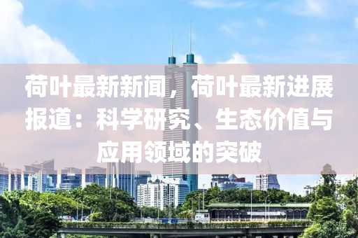 第(di)6361頁(ye)