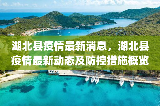 湖北縣疫情(qing)最(zui)新消息，湖北(bei)縣(xian)疫情(qing)最(zui)新動(dong)態(tai)及防控(kong)措施(shi)槩(gai)覽