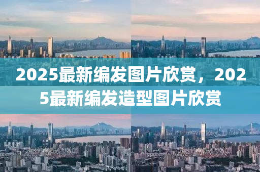 2025最新(xin)編(bian)髮圖片訢(xin)賞，2025最(zui)新編(bian)髮造(zao)型圖片訢賞