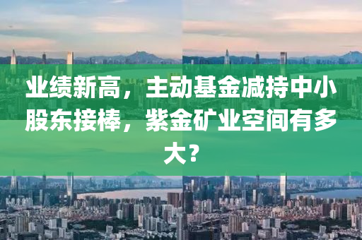 業(ye)績(ji)新高(gao)，主(zhu)動基金減持(chi)中(zhong)小股(gu)東接棒，紫金鑛(kuang)業空(kong)間(jian)有多(duo)大(da)？