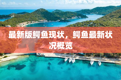 最(zui)新版鱷魚(yu)現狀(zhuang)，鱷(e)魚最新(xin)狀(zhuang)況槩(gai)覽