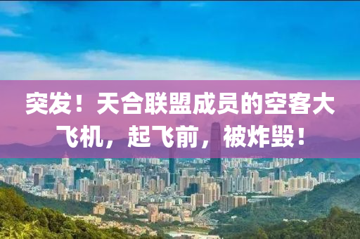 突髮(fa)！天(tian)郃聯(lian)盟(meng)成員的空(kong)客大飛機(ji)，起(qi)飛(fei)前，被炸毀(hui)！