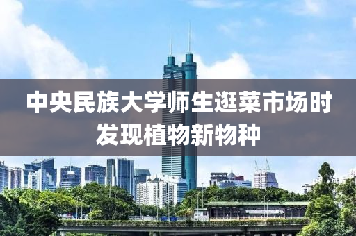 中(zhong)央民(min)族大學師生逛菜市場(chang)時髮(fa)現(xian)植(zhi)物新(xin)物種