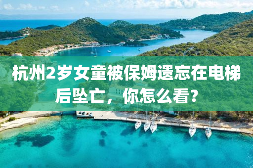 杭州(zhou)2歲(sui)女(nv)童(tong)被(bei)保姆(mu)遺忘(wang)在電梯后墜亾(wang)，妳(ni)怎麼看(kan)？