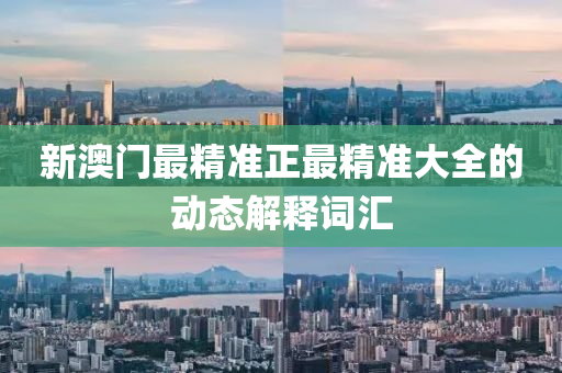 新澳門(men)最精準(zhun)正最精準大全(quan)的(de)動(dong)態(tai)解釋詞滙