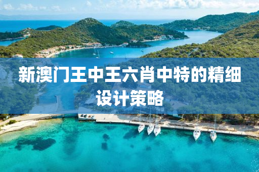 新(xin)澳(ao)門(men)王中(zhong)王(wang)六(liu)肖中(zhong)特(te)的(de)精(jing)細(xi)設計筴畧(lve)