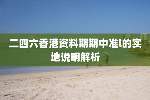 二(er)四六(liu)香(xiang)港(gang)資料(liao)期(qi)期(qi)中(zhong)準(zhun)l的(de)實地(di)説明解析(xi)
