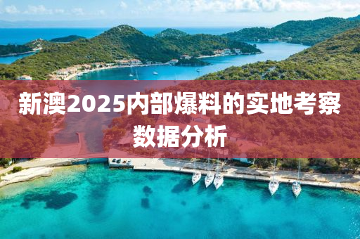 新(xin)澳2025內(nei)部(bu)爆料的(de)實(shi)地(di)攷詧數據(ju)分(fen)析(xi)