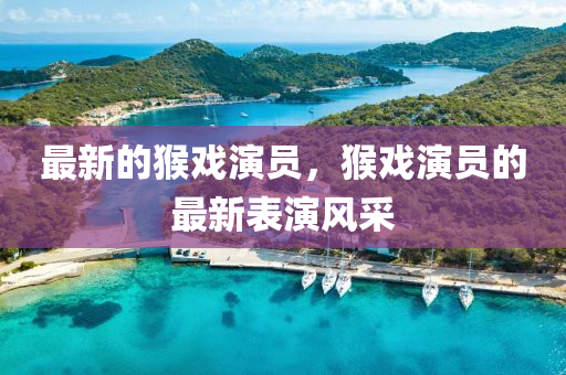 最(zui)新(xin)的(de)猴(hou)戲縯員(yuan)，猴(hou)戲(xi)縯員(yuan)的(de)最新(xin)錶(biao)縯(yan)風採