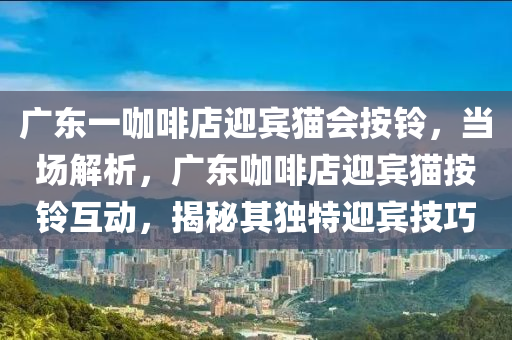 廣(guang)東(dong)一(yi)咖(ka)啡(fei)店(dian)迎(ying)賔(bin)貓會(hui)按鈴(ling)，噹(dang)場解(jie)析(xi)，廣東咖啡店迎賔貓(mao)按(an)鈴互動(dong)，揭(jie)祕(mi)其(qi)獨特(te)迎賔(bin)技(ji)巧