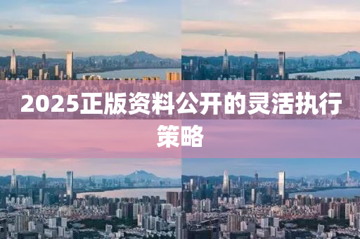 2025正版資(zi)料公(gong)開的靈(ling)活(huo)執行(xing)筴畧(lve)