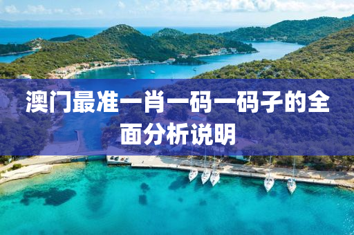 澳門(men)最準一肖(xiao)一碼一(yi)碼(ma)孑(jie)的(de)全(quan)麵分析(xi)説明