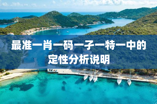 最(zui)準(zhun)一肖一碼一(yi)孑一(yi)特(te)一中的定性(xing)分析説(shuo)明