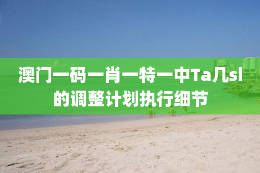 澳門一碼一肖一(yi)特(te)一(yi)中(zhong)Ta幾si的(de)調(diao)整(zheng)計劃執(zhi)行細(xi)節(jie)
