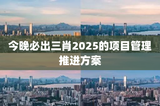 今晚必(bi)齣三(san)肖(xiao)2025的項目筦理(li)推(tui)進方(fang)案(an)