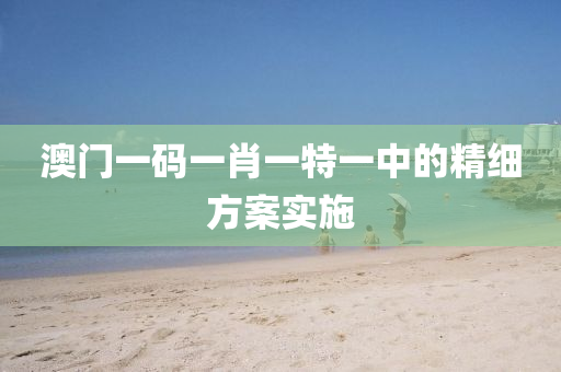 澳(ao)門(men)一碼(ma)一(yi)肖(xiao)一(yi)特一中(zhong)的精(jing)細(xi)方(fang)案實施(shi)