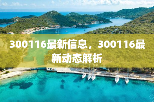 300116最(zui)新(xin)信(xin)息(xi)，300116最(zui)新動(dong)態(tai)解(jie)析
