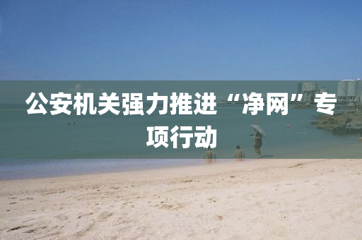 公(gong)安(an)機關強(qiang)力(li)推進(jin)“淨(jing)網(wang)”專(zhuan)項行動(dong)