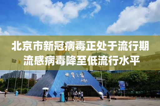北京(jing)市(shi)新冠(guan)病(bing)毒正(zheng)處(chu)于(yu)流行期(qi) 流(liu)感病毒(du)降至(zhi)低(di)流(liu)行水平