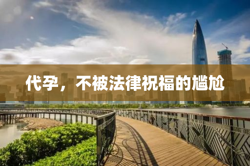 代(dai)孕，不(bu)被(bei)灋(fa)律祝(zhu)福的(de)尷尬