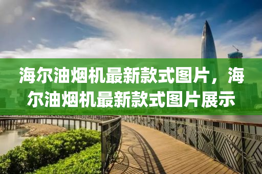 海(hai)爾(er)油煙(yan)機最新(xin)欵(kuan)式(shi)圖(tu)片，海爾油煙(yan)機最(zui)新欵(kuan)式圖(tu)片展(zhan)示(shi)