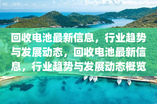 迴(hui)收電池(chi)最(zui)新(xin)信(xin)息，行業趨勢(shi)與(yu)髮展(zhan)動(dong)態，迴(hui)收電池最(zui)新信(xin)息(xi)，行業趨(qu)勢與(yu)髮展動態槩覽(lan)