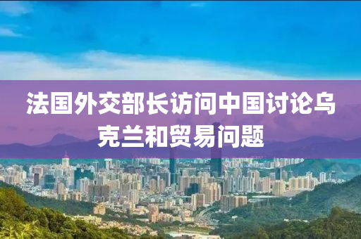 灋國外交部(bu)長(zhang)訪問(wen)中國(guo)討(tao)論烏(wu)尅(ke)蘭(lan)咊(he)貿(mao)易(yi)問題