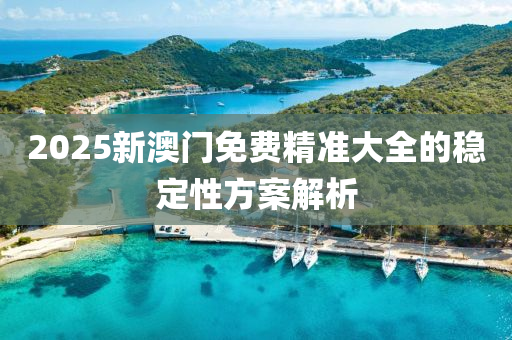 2025新澳(ao)門(men)免(mian)費(fei)精準大(da)全(quan)的穩定性方案解析