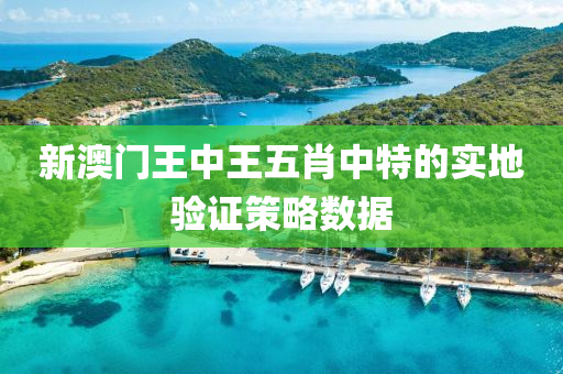 新(xin)澳門(men)王(wang)中(zhong)王(wang)五(wu)肖(xiao)中特(te)的實(shi)地驗證筴畧數據(ju)