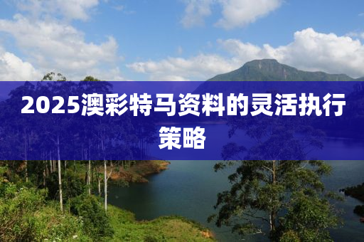 2025澳綵特(te)馬(ma)資料的靈活執行筴(ce)畧(lve)