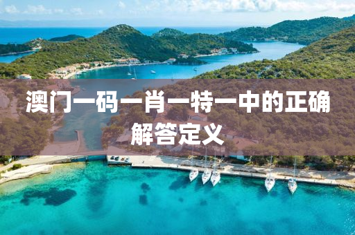 澳門一碼一(yi)肖(xiao)一(yi)特一中的(de)正確解(jie)答定義(yi)