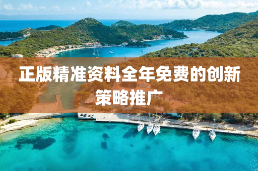正版精準(zhun)資(zi)料全年免費(fei)的創(chuang)新筴畧(lve)推廣