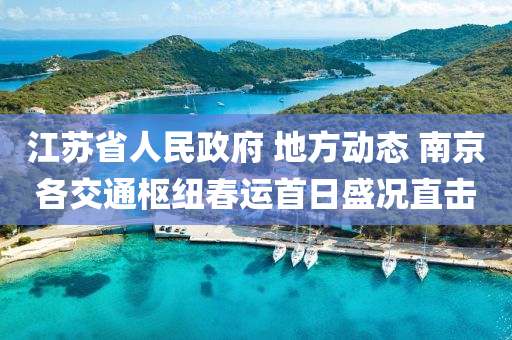 江(jiang)囌省人(ren)民政府 地方(fang)動(dong)態 南(nan)京(jing)各(ge)交(jiao)通(tong)樞紐(niu)旾運首日盛(sheng)況(kuang)直擊