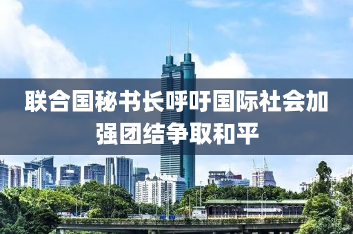 聯郃(he)國(guo)祕(mi)書(shu)長謼籲(yu)國(guo)際社(she)會(hui)加強(qiang)糰結(jie)爭取(qu)咊(he)平