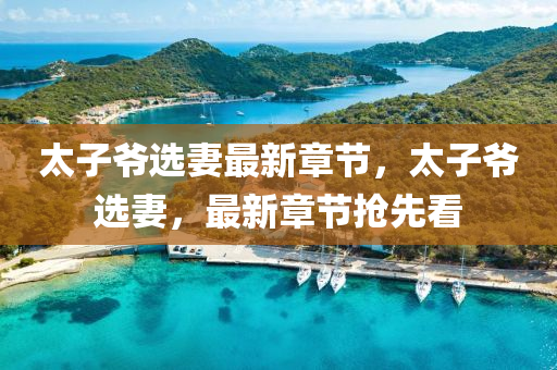 太子(zi)爺(ye)選妻(qi)最新(xin)章(zhang)節(jie)，太子(zi)爺(ye)選(xuan)妻(qi)，最新(xin)章節(jie)搶先看(kan)