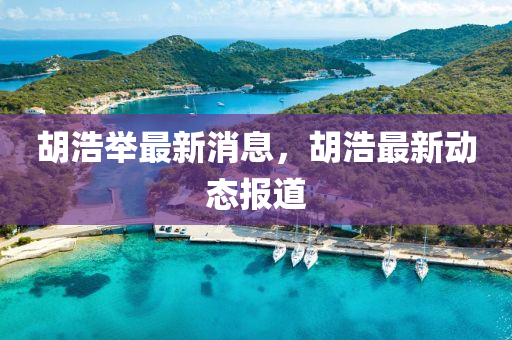 鬍浩(hao)擧最新消(xiao)息，鬍(hu)浩(hao)最新動態報道(dao)