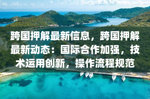 跨國押(ya)解最(zui)新信(xin)息(xi)，跨國(guo)押(ya)解(jie)最新(xin)動態：國際郃作(zuo)加(jia)強(qiang)，技(ji)術運用(yong)創(chuang)新(xin)，撡(cao)作(zuo)流程槼範