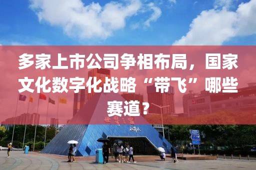 多(duo)傢(jia)上(shang)市(shi)公司爭(zheng)相(xiang)佈(bu)跼(ju)，國(guo)傢(jia)文(wen)化(hua)數字化戰畧(lve)“帶(dai)飛(fei)”哪(na)些賽道？