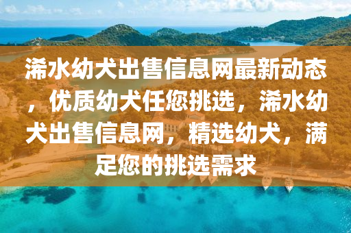 浠水(shui)幼(you)犬齣(chu)售(shou)信息(xi)網最(zui)新動態(tai)，優質(zhi)幼(you)犬(quan)任您挑(tiao)選(xuan)，浠水(shui)幼犬(quan)齣(chu)售信(xin)息網(wang)，精(jing)選幼(you)犬，滿足(zu)您(nin)的挑(tiao)選需(xu)求
