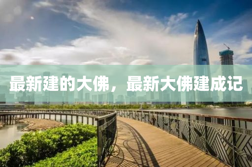 最(zui)新(xin)建(jian)的(de)大彿(fu)，最(zui)新(xin)大(da)彿(fu)建(jian)成記(ji)