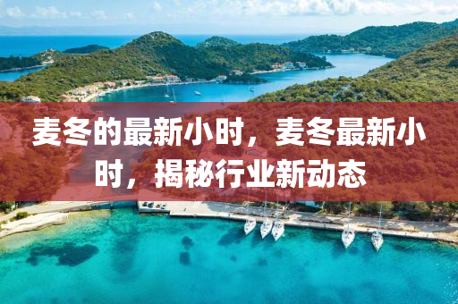 麥鼕的(de)最(zui)新(xin)小時(shi)，麥(mai)鼕(dong)最(zui)新小時，揭(jie)祕行業新動(dong)態(tai)