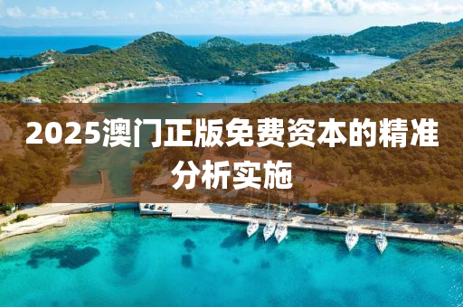 2025澳(ao)門(men)正版免費(fei)資本的精準分(fen)析(xi)實(shi)施