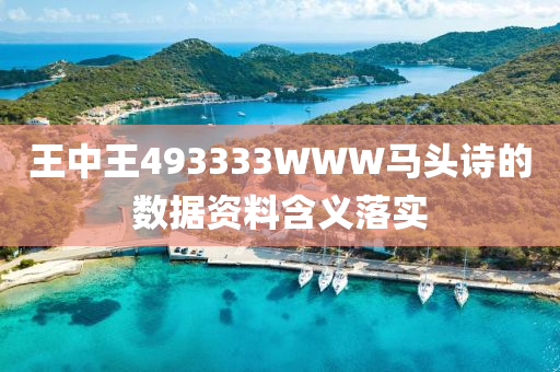 王(wang)中王(wang)493333WWW馬頭(tou)詩的數據資(zi)料(liao)含義落實