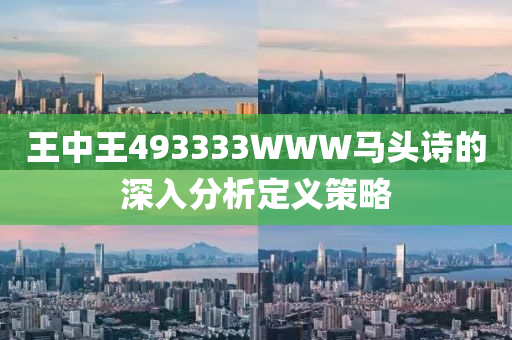 王(wang)中王(wang)493333WWW馬(ma)頭詩的(de)深(shen)入分析(xi)定義筴畧